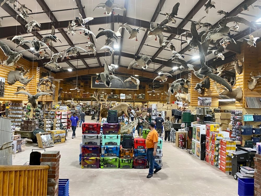 Inside Simmons Sporting Goods in Bastrop: mounted ducks and geese hang from the rafters above log walls lined with deer mounts and aisles of outdoor gear